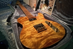 Mojo Grande