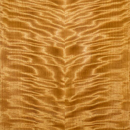 Arctic Birch #1109-C