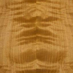 Arctic Birch #1110-C new
