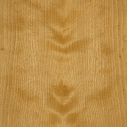 Arctic Birch #1115-C