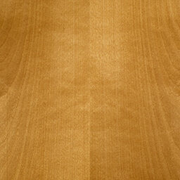 Arctic Birch #1117-C