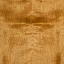 Arctic Birch #1123-C