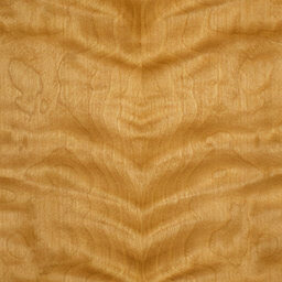 Arctic Birch #1124-1-C