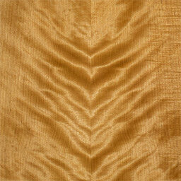 Arctic Birch #1127-C