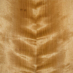 Arctic Birch #1135-C new