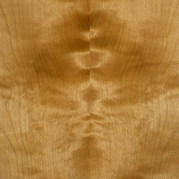 Arctic Birch #1136-C