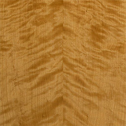Arctic Birch #1139-C