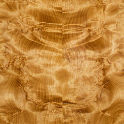 Arctic Birch #1106-C