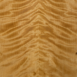 Arctic Birch #1107-2-C