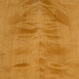 Arctic Birch #1143-1-C