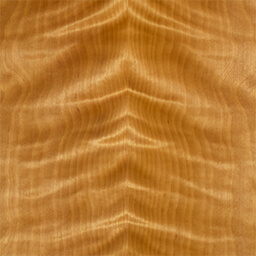 Arctic Birch #1146-C