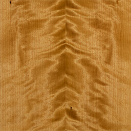 Arctic Birch #1148-C