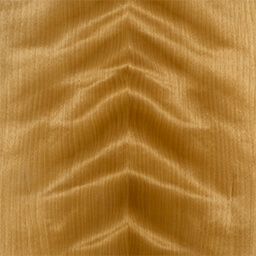 Arctic Birch #1153-C