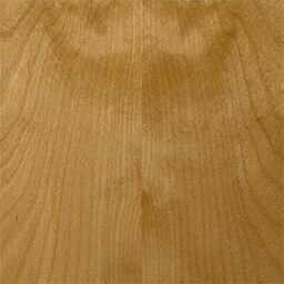 Arctic Birch #1159-C