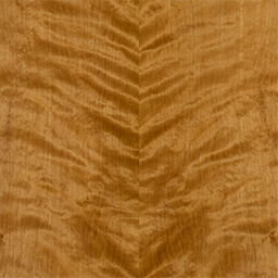 Arctic Birch #1163-C