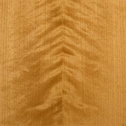 Arctic Birch #1165-2-F