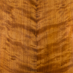 Arctic Birch #1165-C