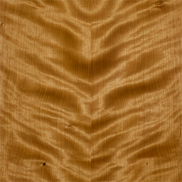 Arctic Birch #1166-1-C