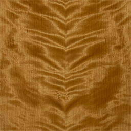 Arctic Birch #1169-C
