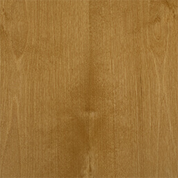Arctic Birch #1172-C