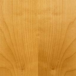 Arctic Birch #1173-1-F