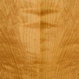 Arctic Birch #1174-F