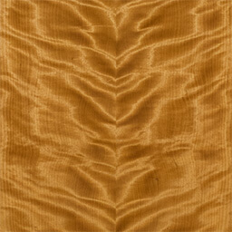 Arctic Birch #1177-1-F