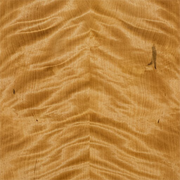 Arctic Birch #1179-1-F