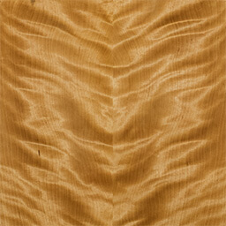 Arctic Birch #1179-2-F