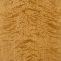 Arctic Birch #1183-F