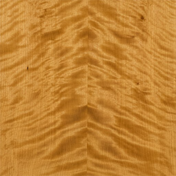 Arctic Birch #1184-F