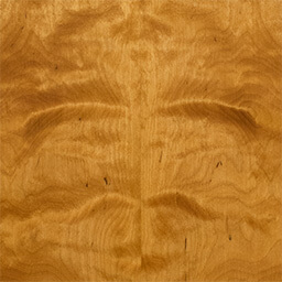 Arctic Birch #1186-F