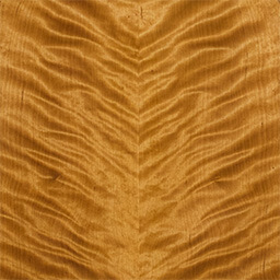 Arctic Birch #1190-1-F