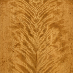 Arctic Birch #1191-1-F